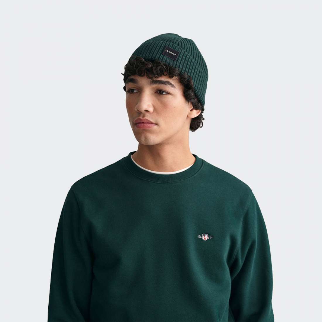 SWEATSHIRT GANT REG SHIELD 374