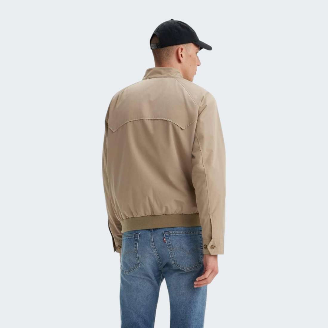 CASACO LEVIS BAKER HARRINGTON TRUE CHINO