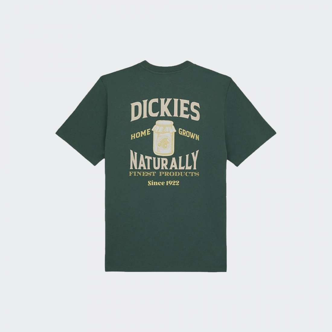 TSHIRT DICKIES ELLISTON CLOUDS