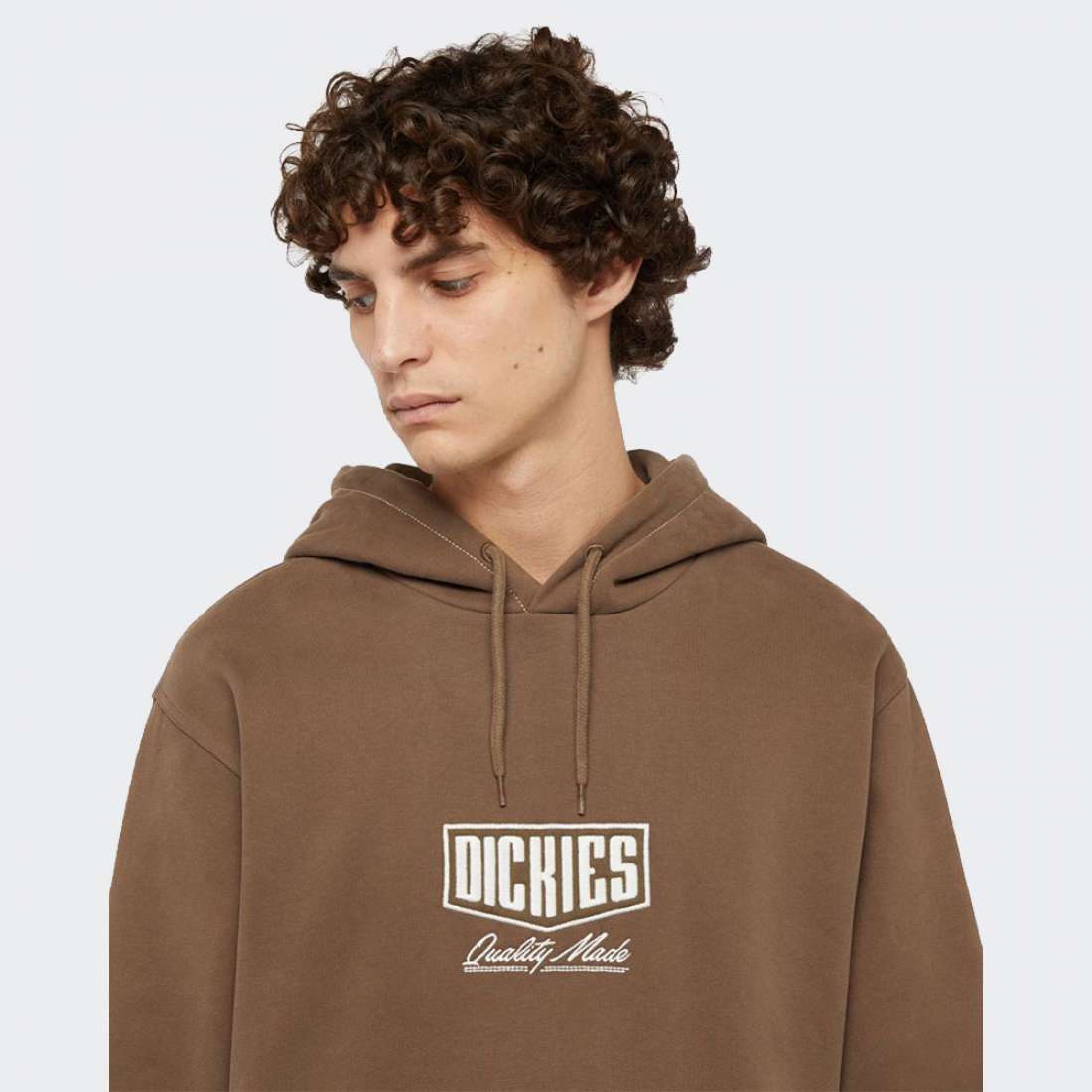 HOODIE DICKIES PHILIPSBURG MUSHROON