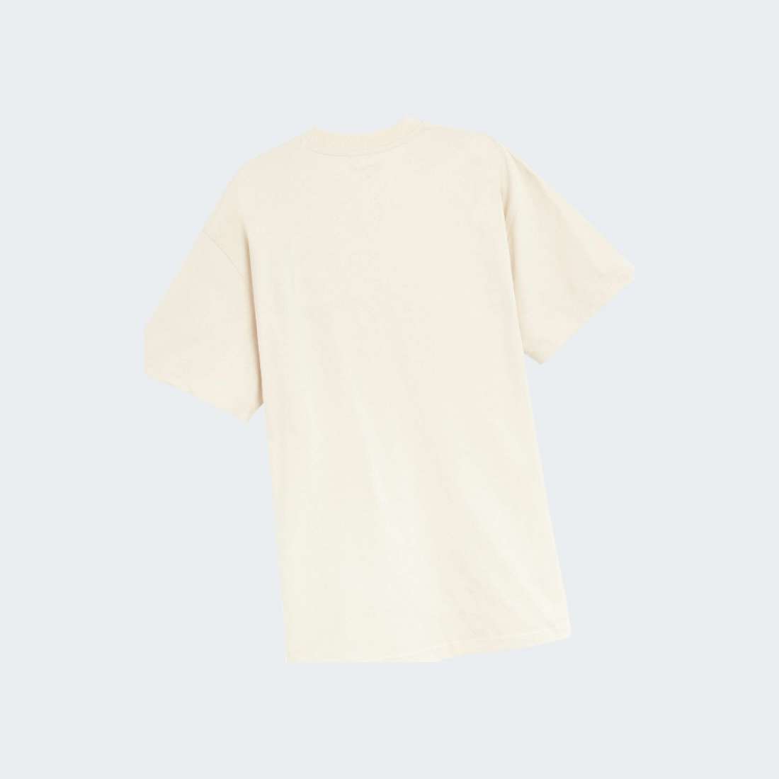 TSHIRT CARHARTT WIP AMERICAN SCRIPT NATURAL