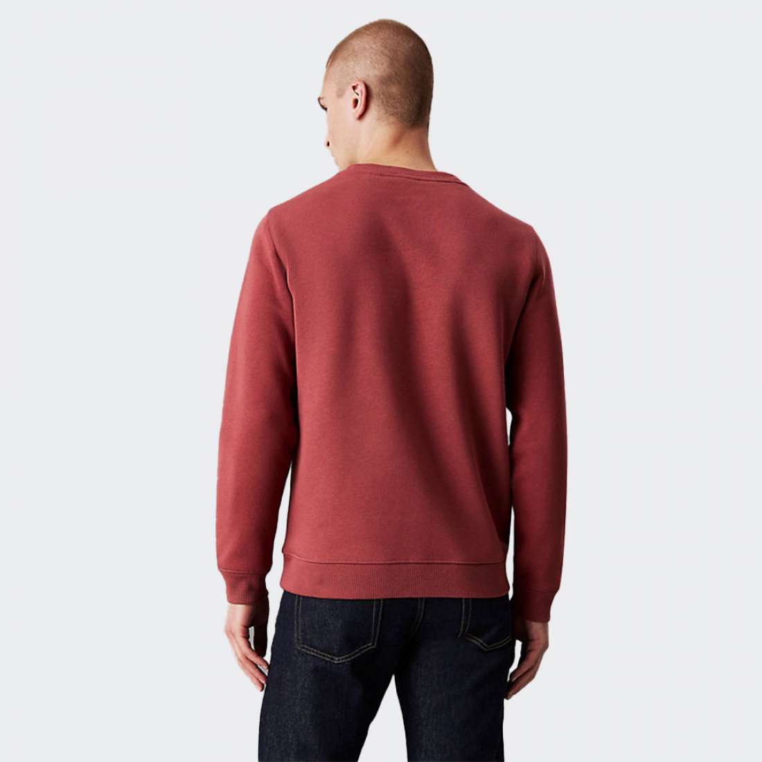 SWEATSHIRT CALVIN KLEIN MONOLOGO APPLE BUTTER