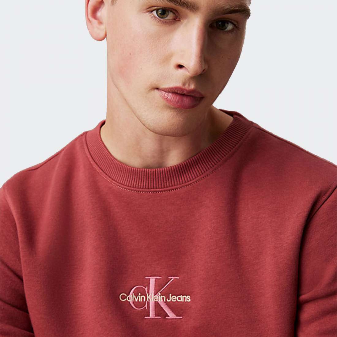 SWEATSHIRT CALVIN KLEIN MONOLOGO APPLE BUTTER