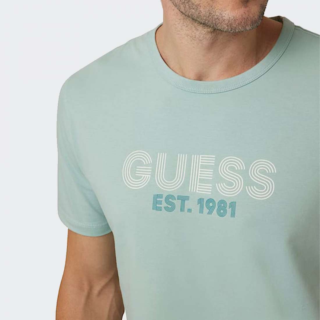 TSHIRT GUESS CLASSIC DESIGN G7R6