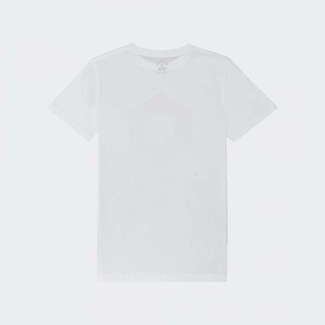 T-SHIRT BILLABONG X CESS C WHITE