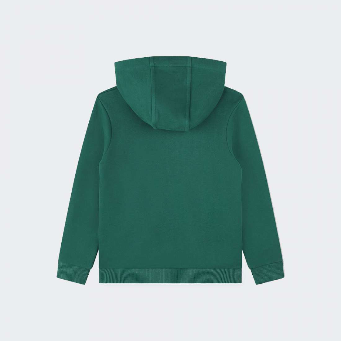 HOODIE TIMBERLAND ESTABLISHED 1973 C GREEN