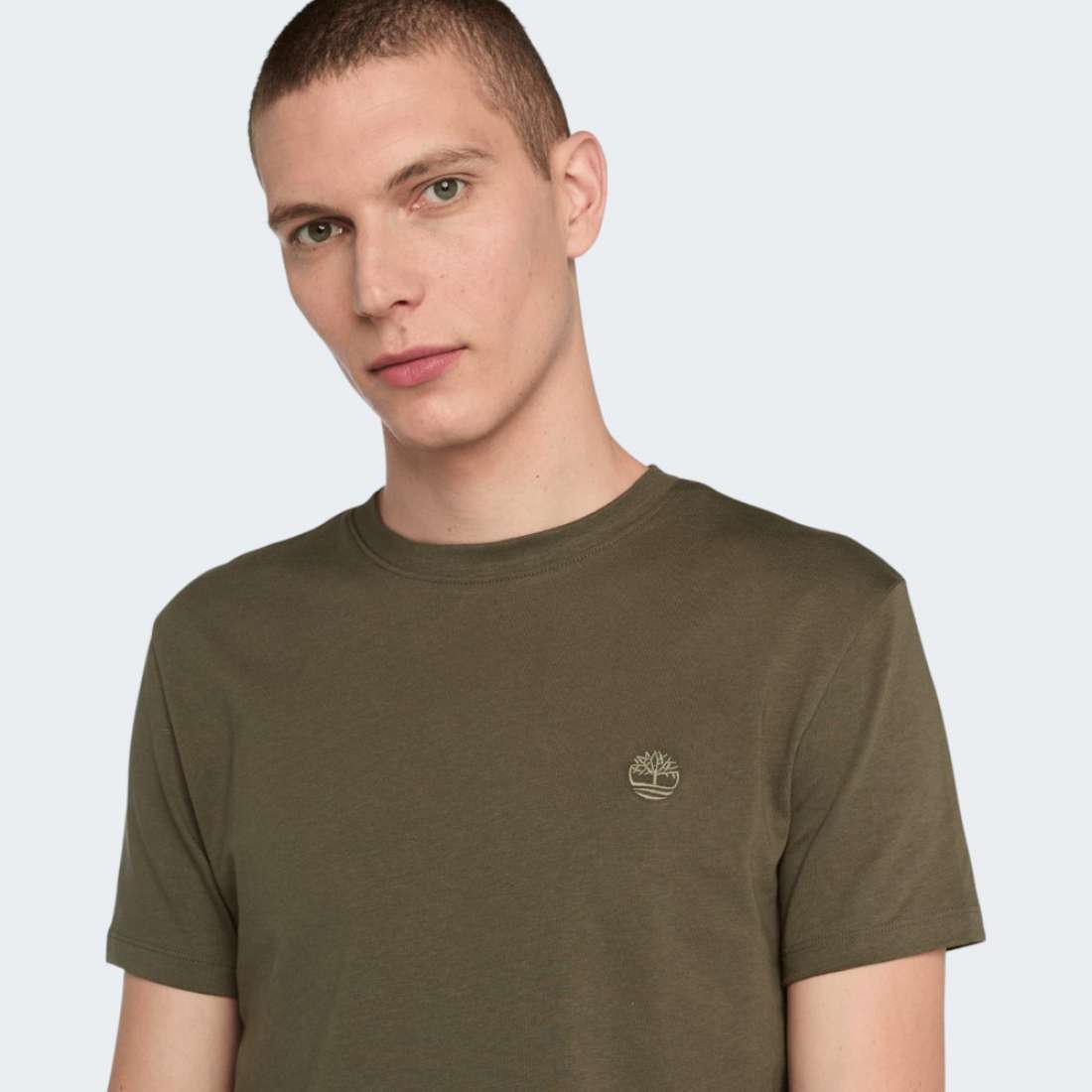 TSHIRT TIMBERLAND DUSTAN RIVER GREEN