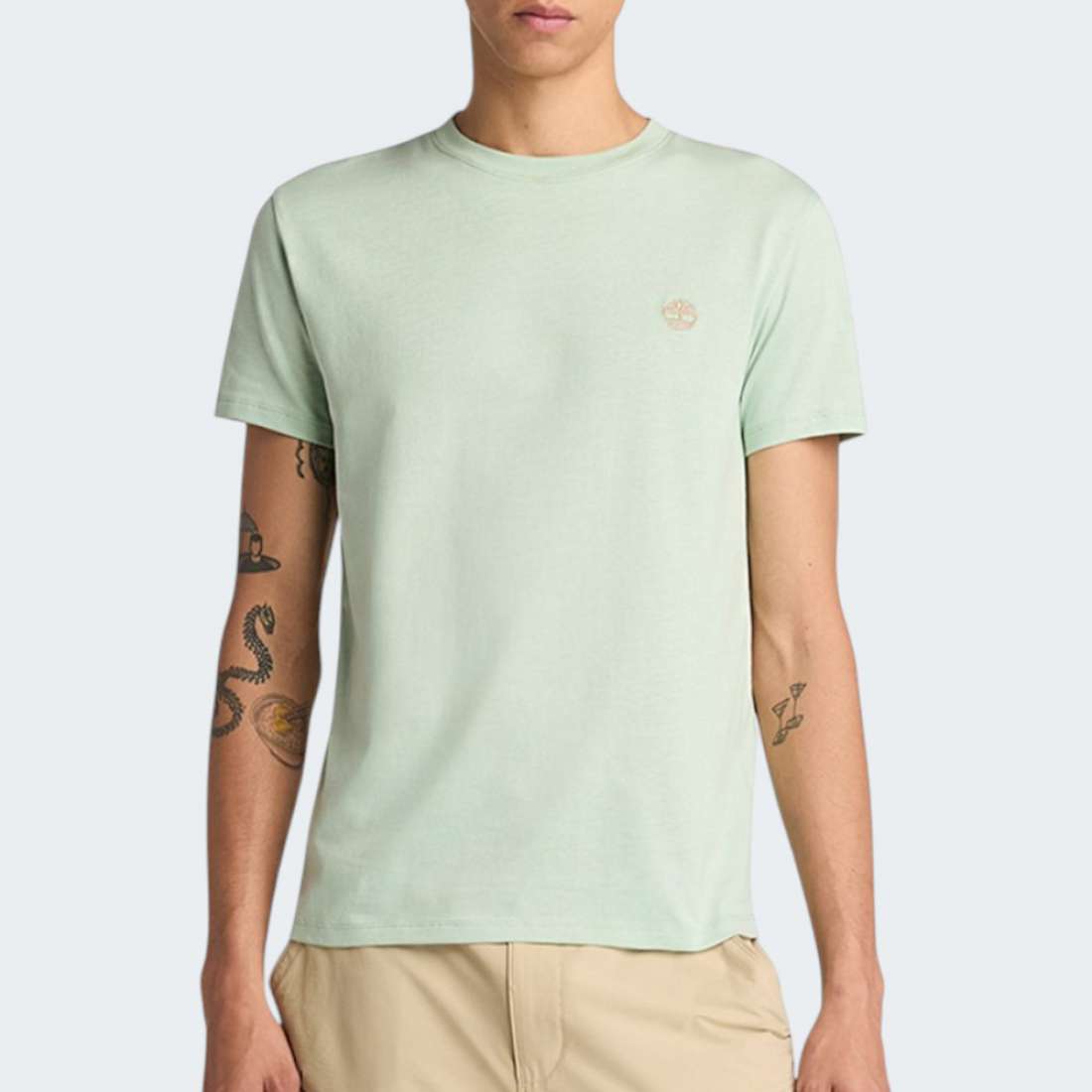 TSHIRT TIMBERLAND DUSTAN RIVER LIGHT GREEN