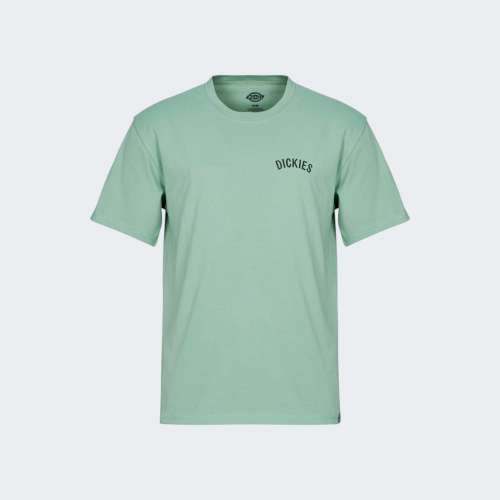 TSHIRT DICKIES SNAKE GREEN